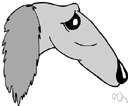 greyhound - a tall slender dog of an ancient breed noted for swiftness and keen sight